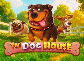 The Dog House ile 55.800 TL Kazanç - Casival